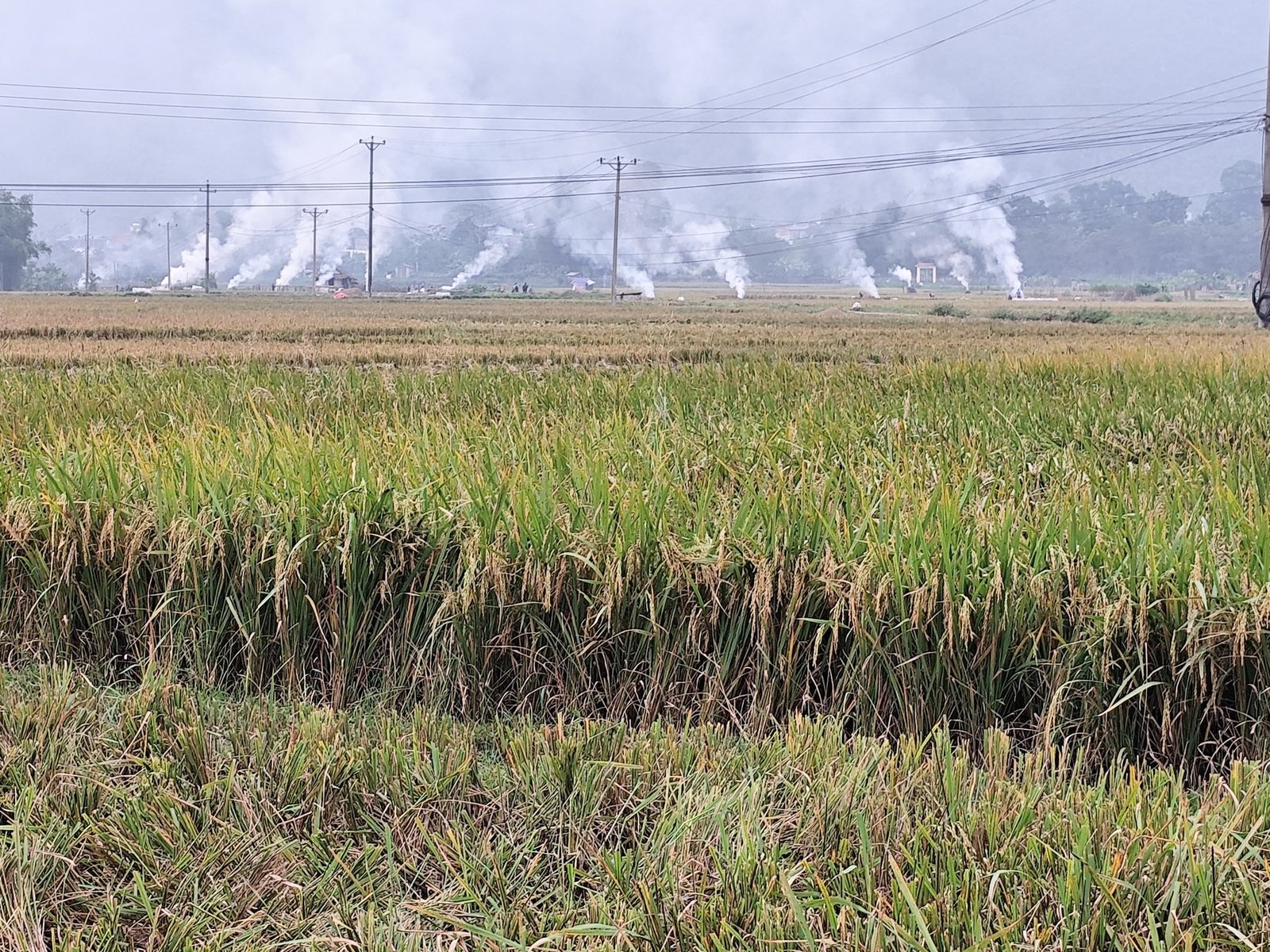 Thailand to Laos Bike Tour Across Southeast Asia: The Ultimate Cross-Border Journey